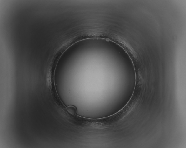 X0000102790681200808251029