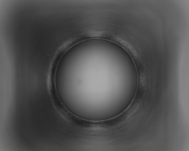 X0000102790682200808251029