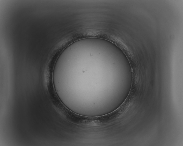 X0000102790683200808251029