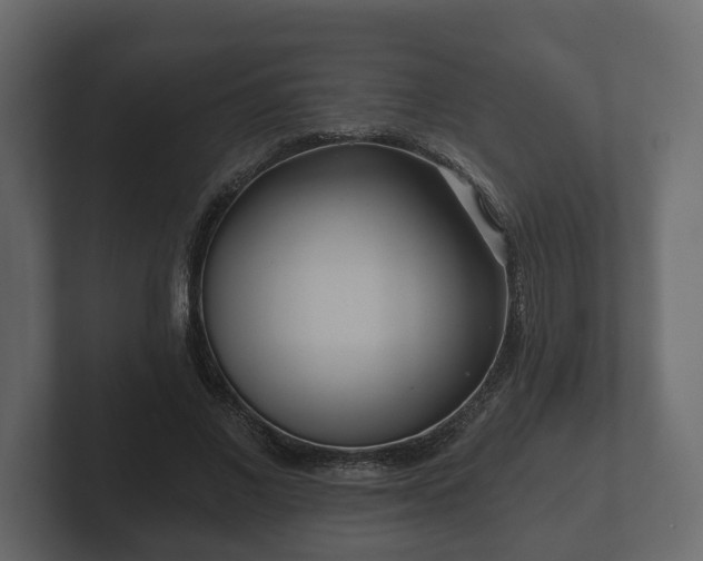 X0000102790685200808251029