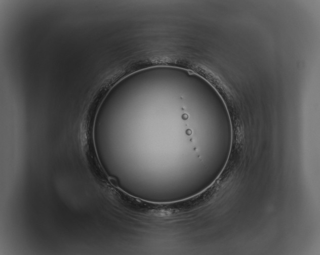X0000102790687200808251029