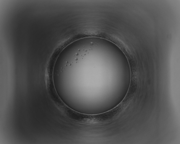 X0000102790688200808251029