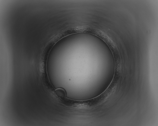 X0000102790689200808251029