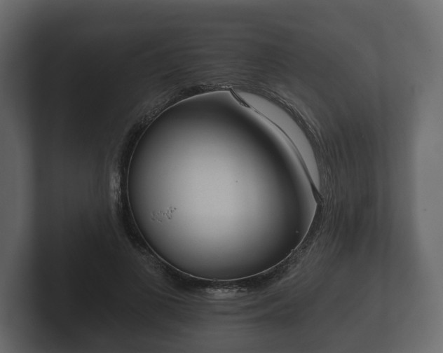 X0000102790693200808251029