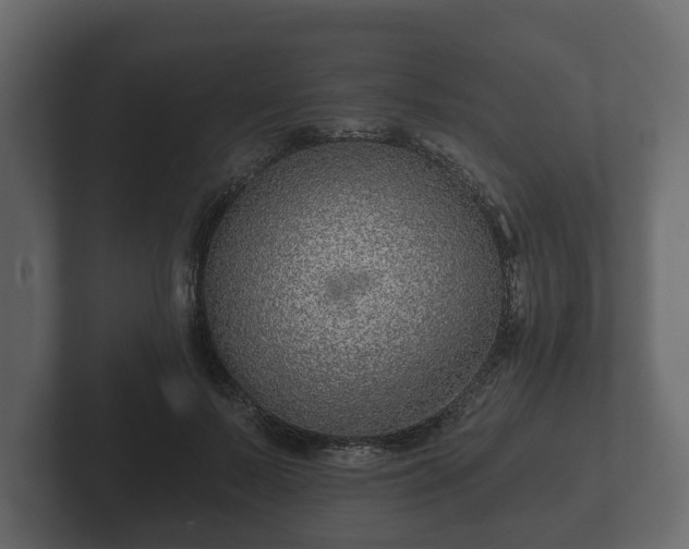 X0000102790695200808251029