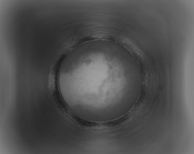 X0000102790696200808251029