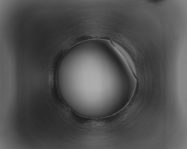 X0000102790697200808251029