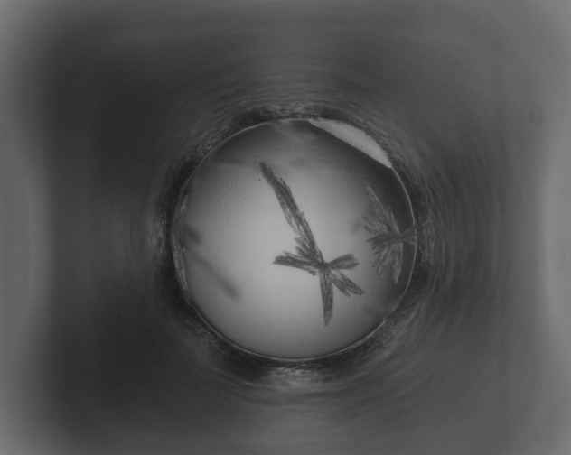 X0000102790699200808251029