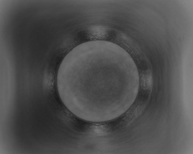 X0000102790701200808251029