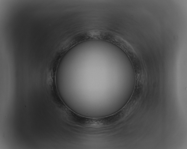 X0000102790702200808251029