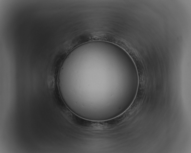 X0000102790703200808251029