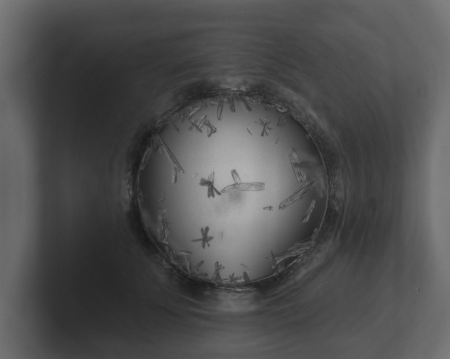 X0000102790707200808251028