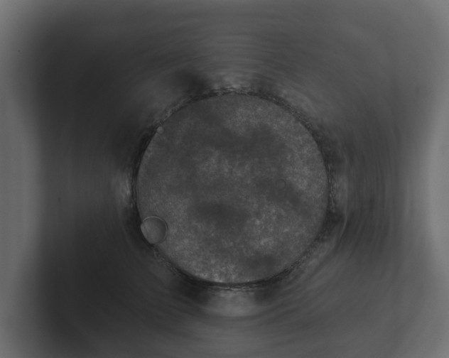 X0000102790709200808251028