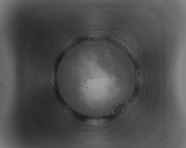 X0000102790712200808251028