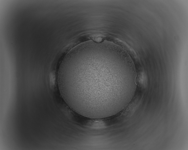 X0000102790715200808251028