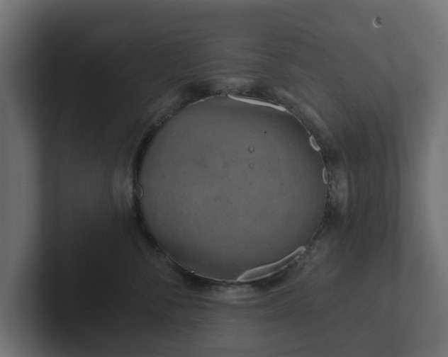 X0000102790716200808251028