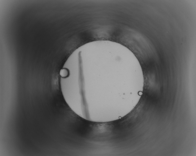 X0000102790717200808251028