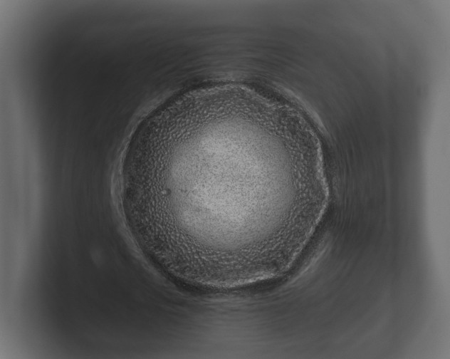 X0000102790721200808251028