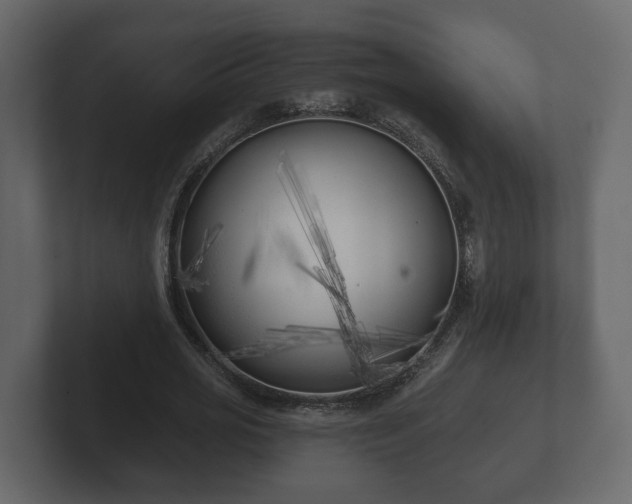 X0000102790725200808251028