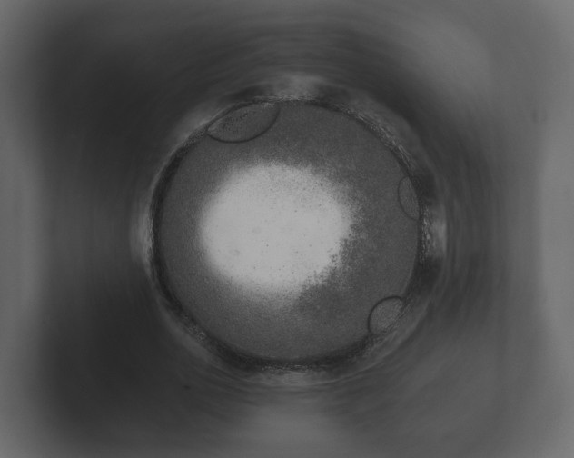 X0000102790726200808251028