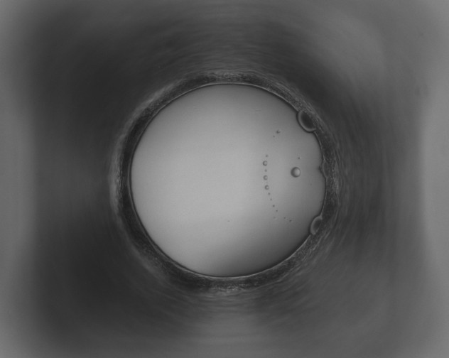 X0000102790728200808251028