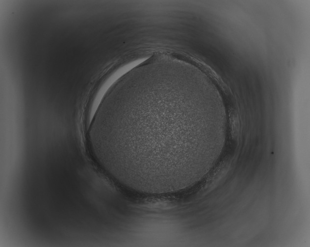 X0000102790729200808251028