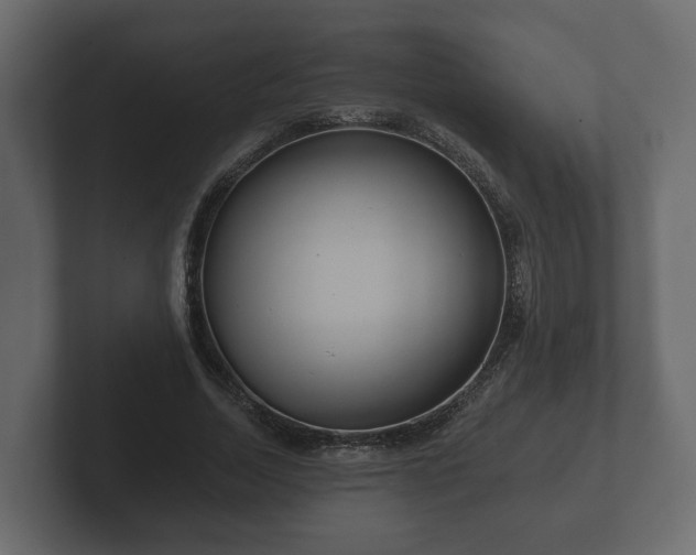 X0000102790730200808251028