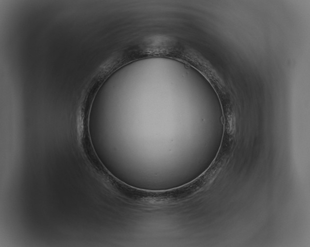 X0000102790733200808251028