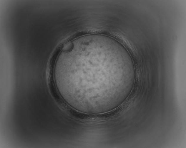 X0000102790736200808251028