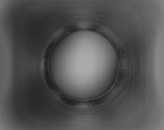 X0000102790738200808251028