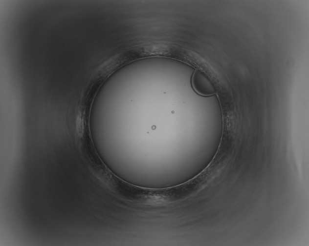 X0000102790741200808251028