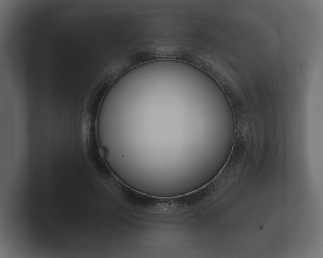 X0000102790744200808251028