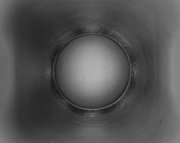 X0000102790745200808251028