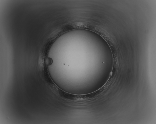 X0000102790746200808251028