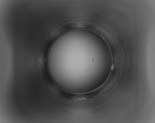 X0000102790747200808251028