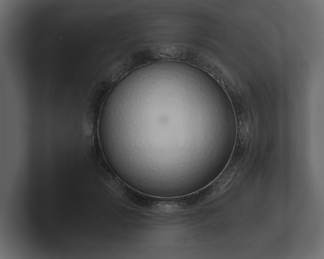 X0000102790749200808251028