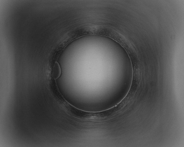X0000102790750200808251028