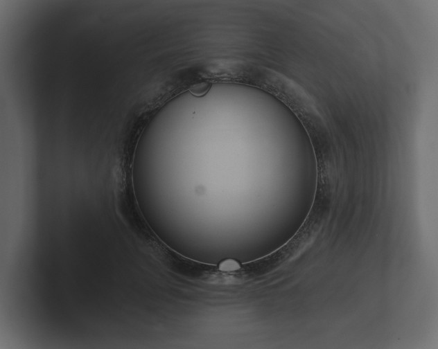 X0000102790751200808251028