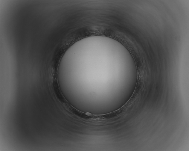 X0000102790752200808251028
