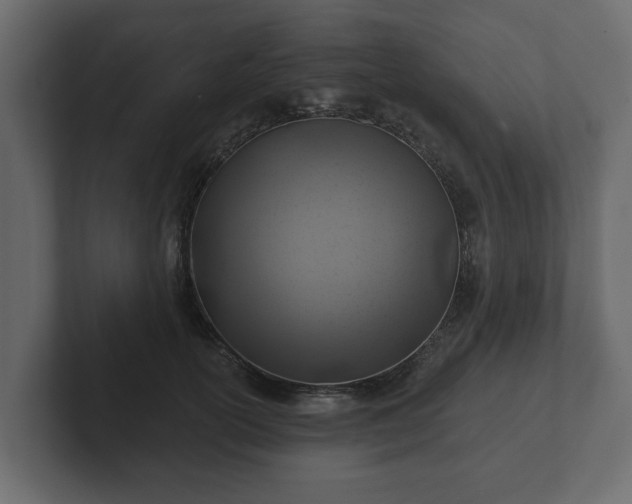 X0000102790754200808251028