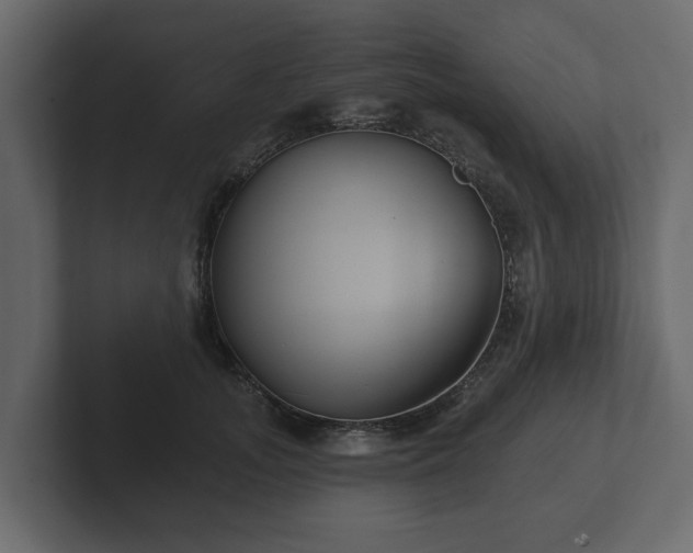 X0000102790755200808251028