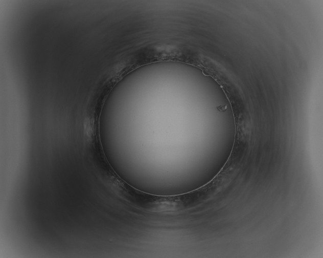 X0000102790756200808251028