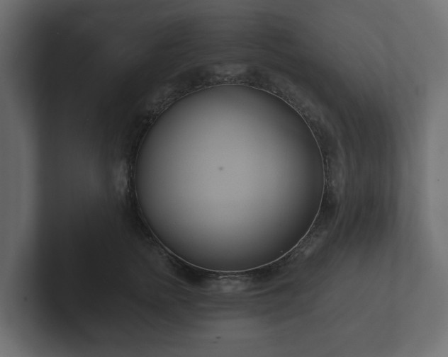 X0000102790758200808251028