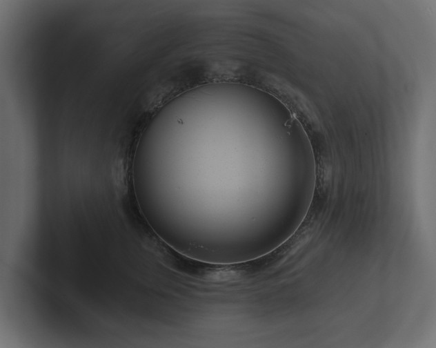 X0000102790759200808251028