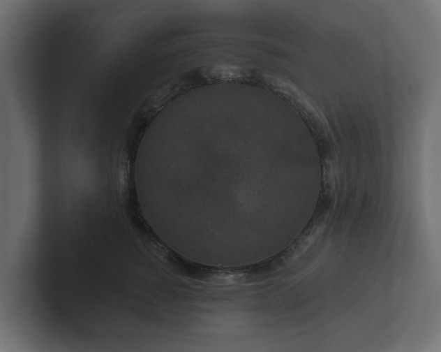 X0000102790760200808251028