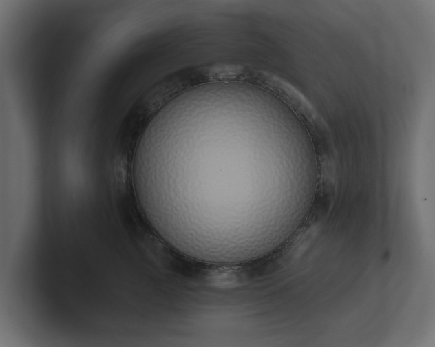 X0000102790761200808251028