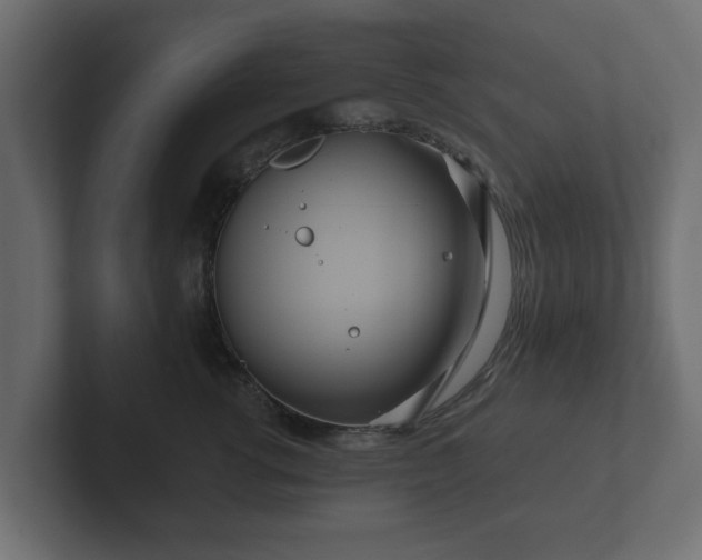 X0000102790762200808251028