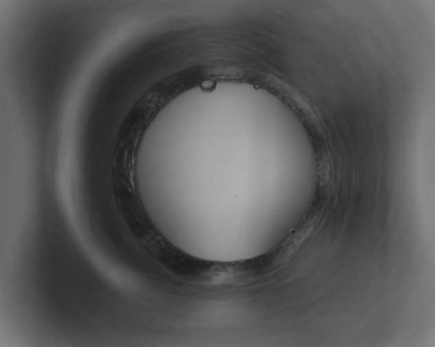 X0000102790764200808251028