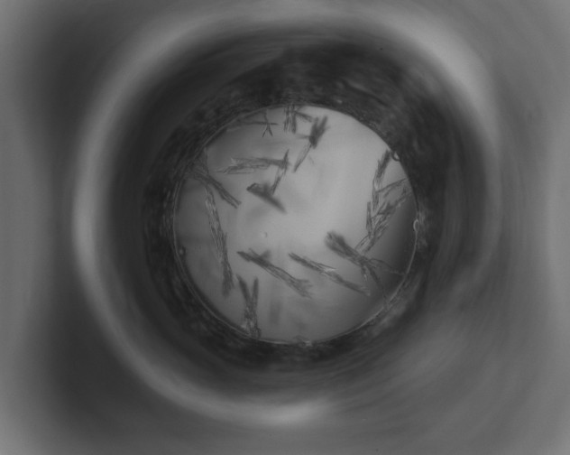X0000102790765200808251028