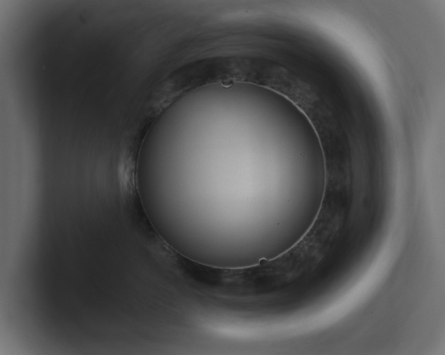 X0000102790766200808251028